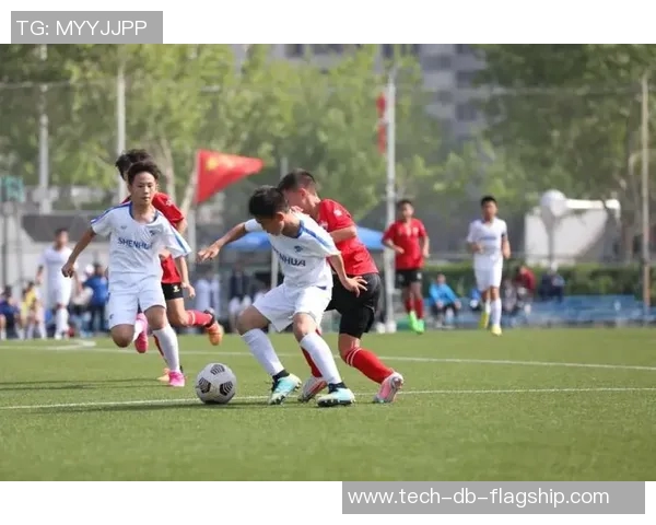 大连足球崛起之路:从青训到职业联赛的全景探索与未来展望