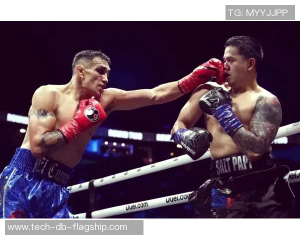 UFC凯恩与桑托斯激战在即谁将成为新一代拳坛霸主